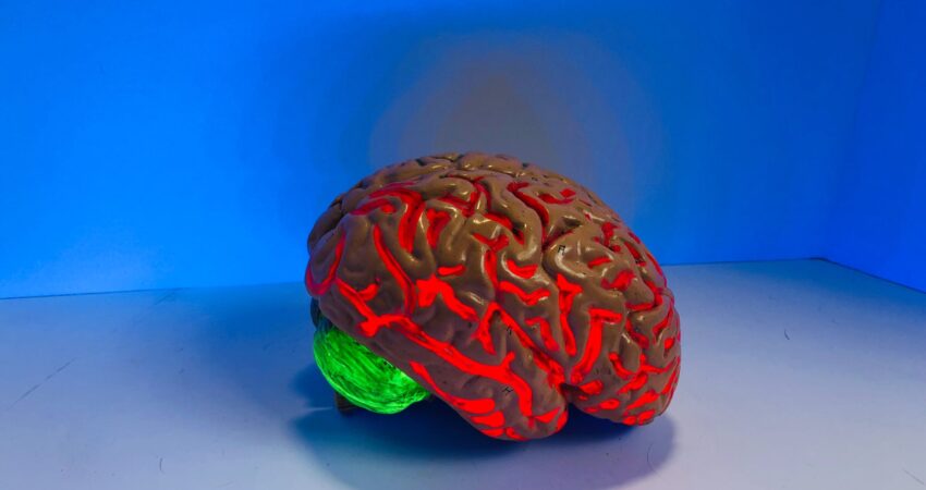 brain figurine